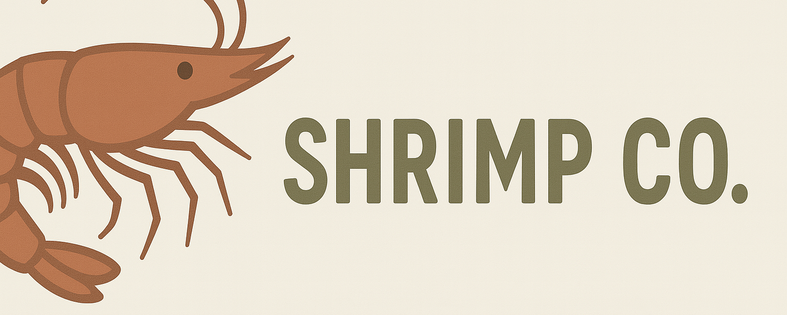 An exploration in networking, from basic L2 to dynamic L3 & tunneling